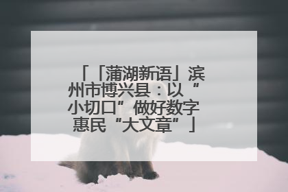 「蒲湖新语」滨州市博兴县：以“小切口”做好数字惠民“大文章”